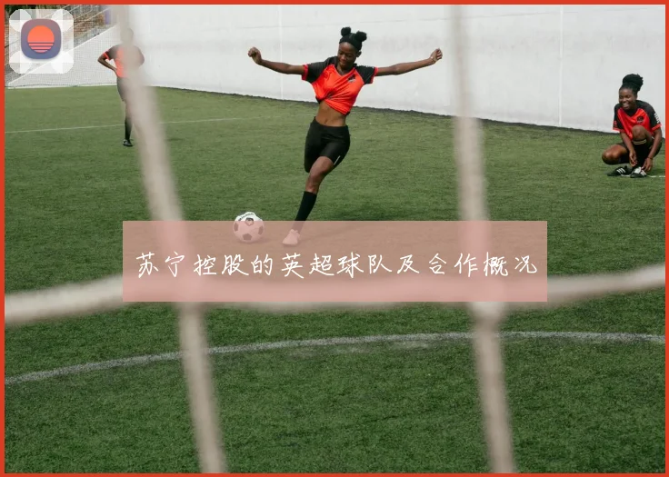 苏宁控股的英超球队及合作概况