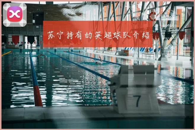 苏宁持有的英超球队介绍