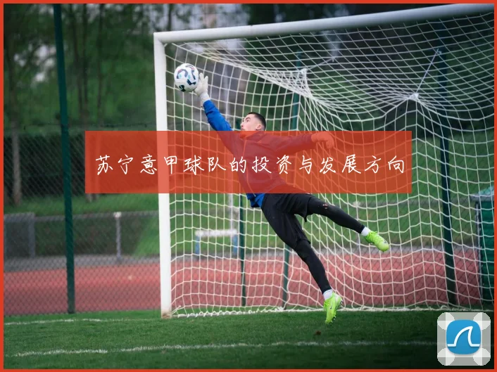 苏宁意甲球队的投资与发展方向