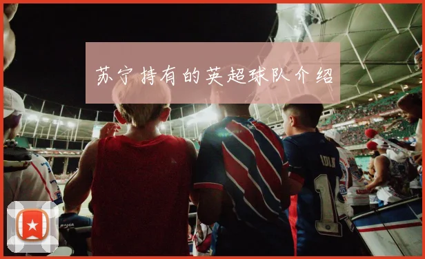 苏宁持有的英超球队介绍