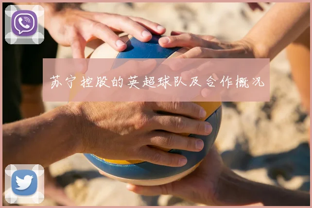 苏宁控股的英超球队及合作概况